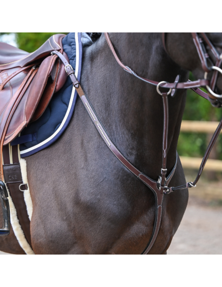 Collier De Chasse Et Martingale Jump'In One Premium Clincher Havane
