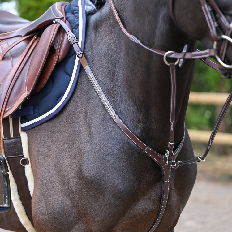 Collier De Chasse Et Martingale Jump'In One Premium Clincher Havane