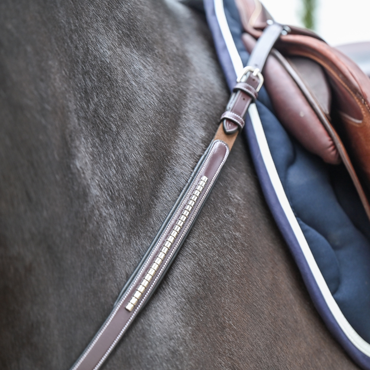 Collier De Chasse Et Martingale Jump'In One Premium Clincher Havane