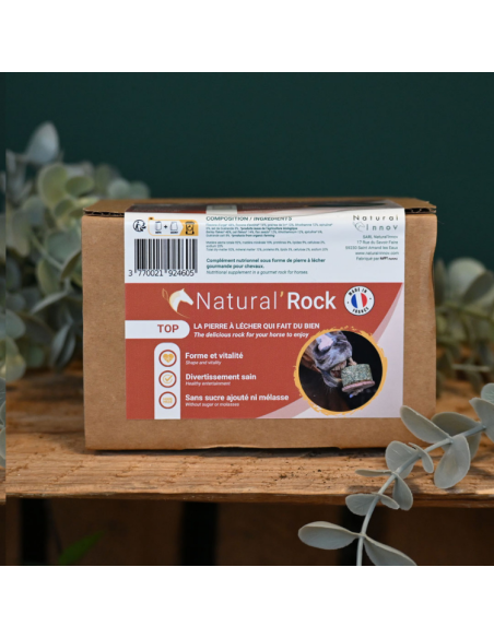Pierre À Lécher Natural'Innov Natural'Rock Top 500g