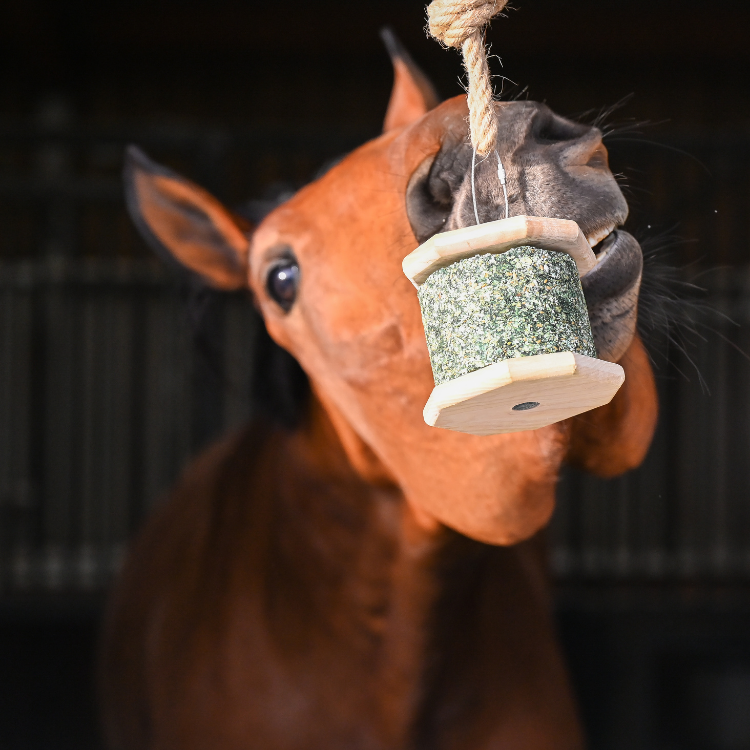 Pierre À Lécher Natural'Innov Natural'Rock Top 500g
