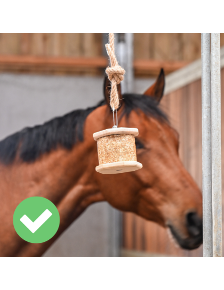 Pierre À Lécher Natural'Innov Natural'Rock 500g