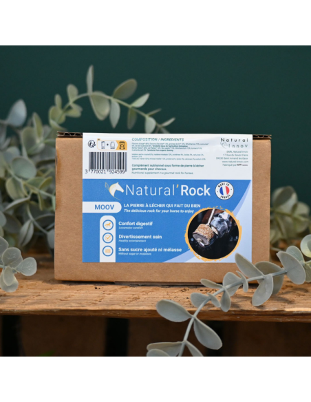 Pierre À Lécher Natural'Innov Natural'Rock Moov 500g