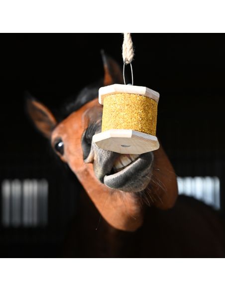 Pierre À Lécher Natural'Innov Natural'Rock Moov 500g