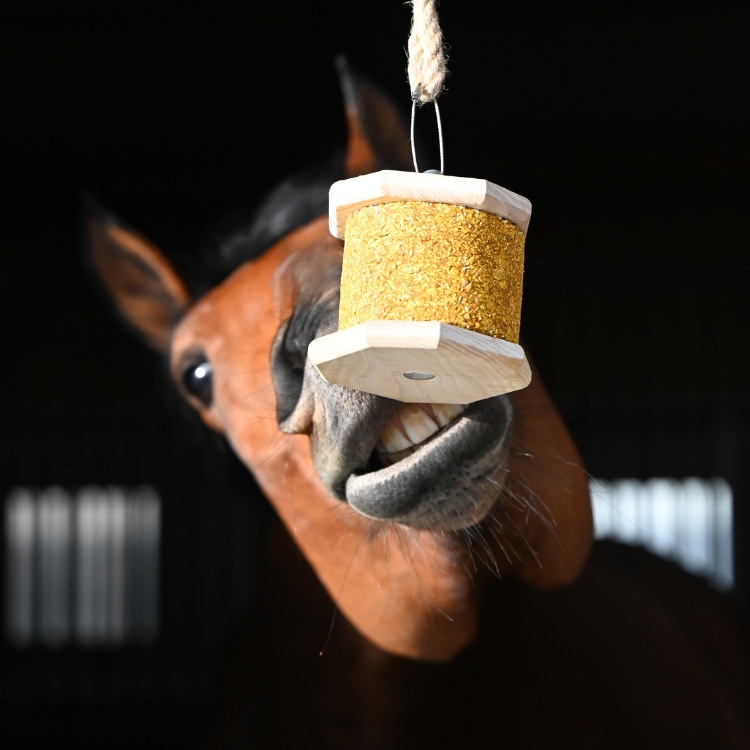 Pierre À Lécher Natural'Innov Natural'Rock Moov 500g