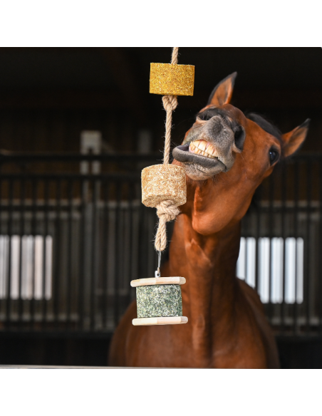 Pierre À Lécher Natural'Innov Natural'Rock 500g