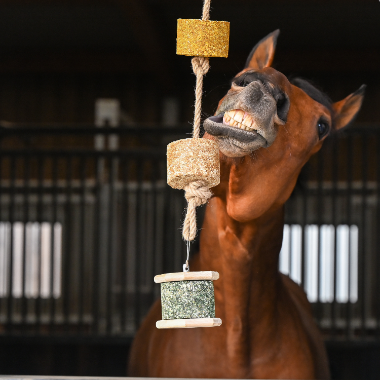 Pierre À Lécher Natural'Innov Natural'Rock 500g