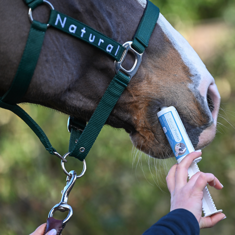 Seringue Natural'Innov Natural’Protect Flash 60ml