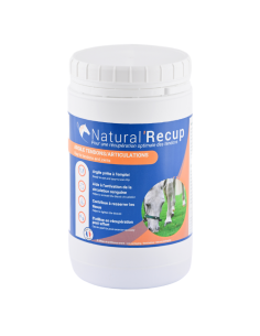 Argile Natural'Innov Natural’Recup 1,3kg