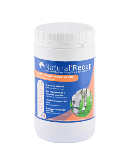 Argile Natural'Innov Natural’Recup 1,3kg