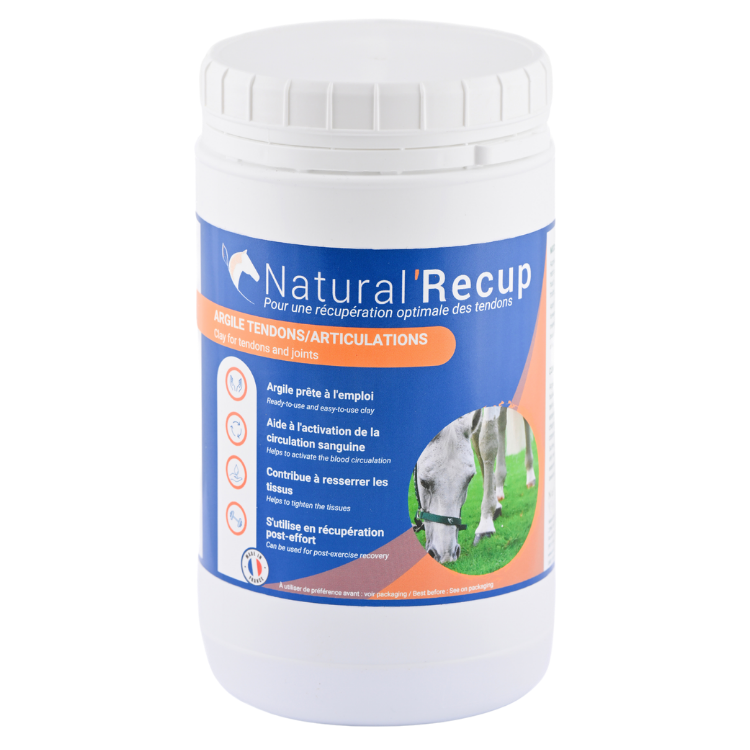 Argile Natural'Innov Natural’Recup 1,3kg