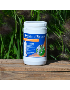 Argile Natural'Innov Natural’Recup 1,3kg 2