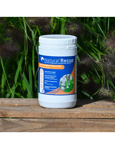 Argile Natural'Innov Natural’Recup 1,3kg