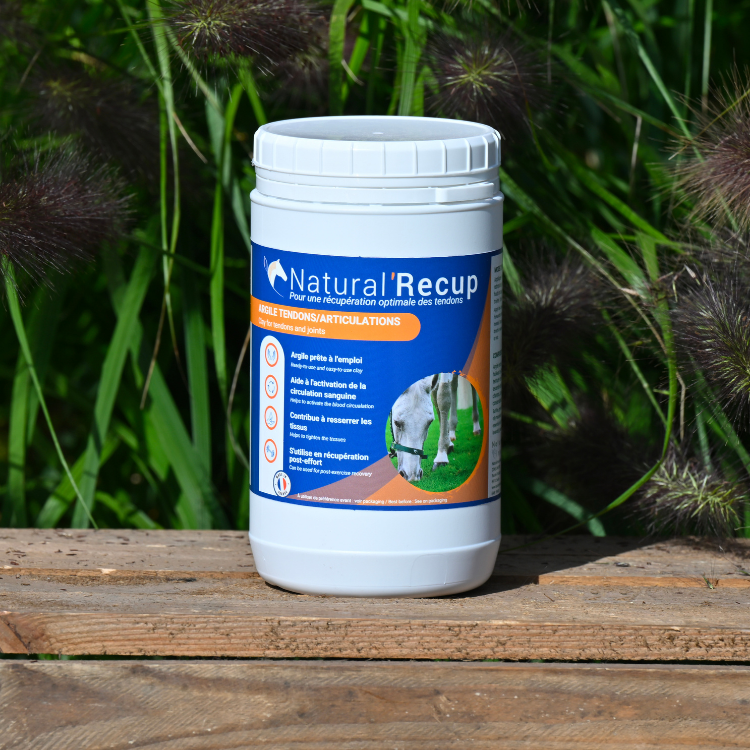 Argile Natural'Innov Natural’Recup 1,3kg