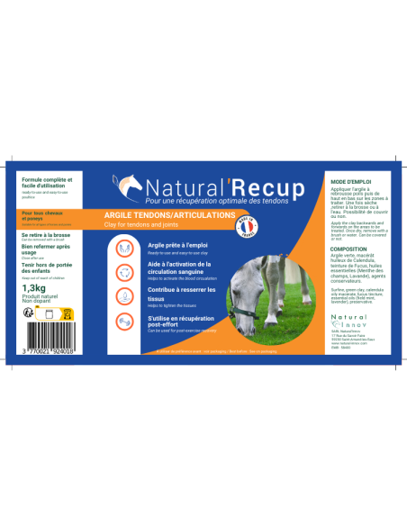 Argile Natural'Innov Natural’Recup 1,3kg