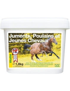 NAF Juments, Poulains et Jeunes Chevaux