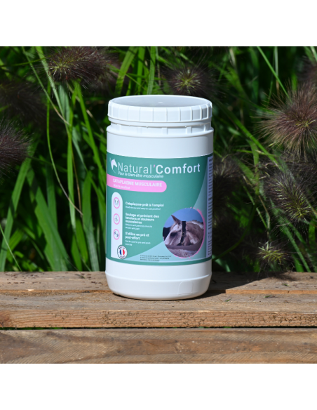 Argile Natural'Innov Natural’Comfort 1,3kg