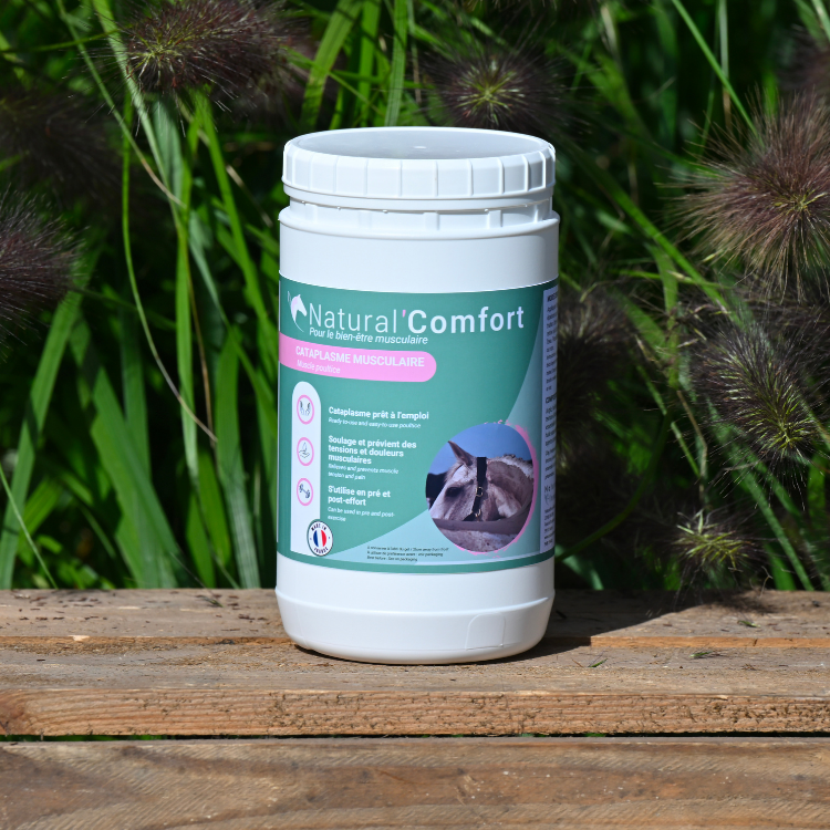 Argile Natural'Innov Natural’Comfort 1,3kg