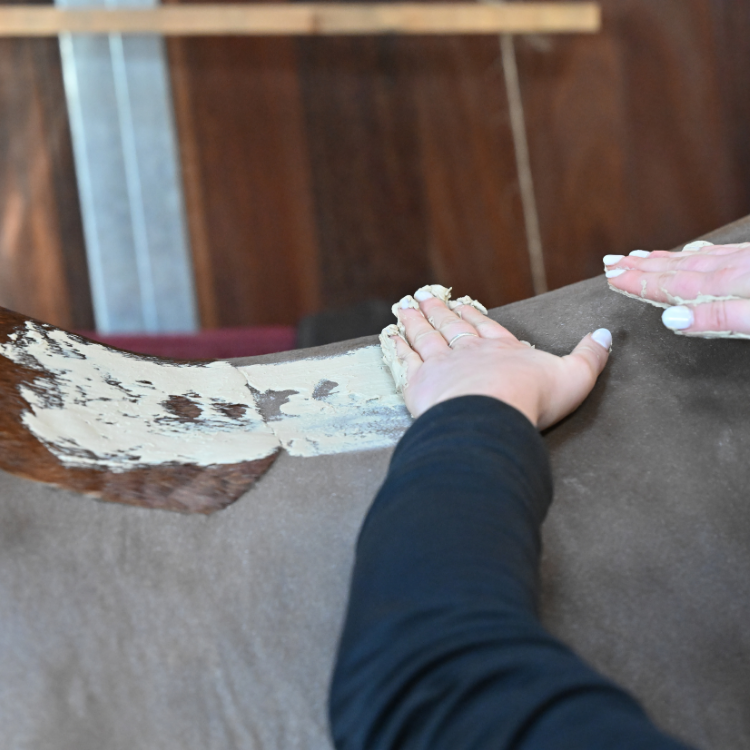 Argile Natural'Innov Natural’Comfort