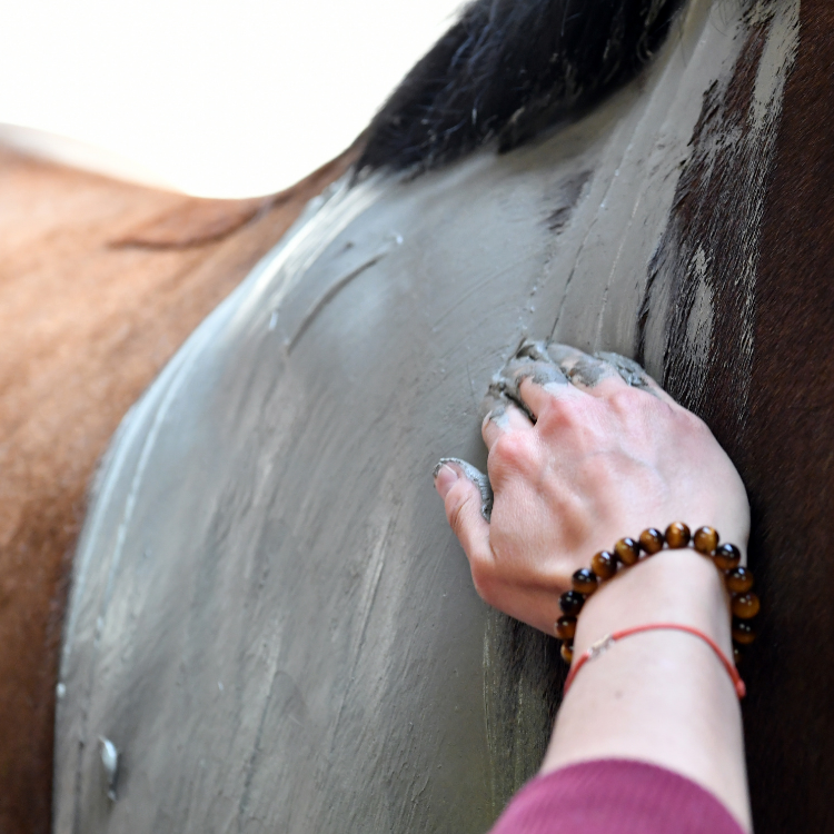 Argile Natural'Innov Natural’Comfort