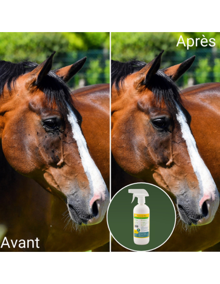 Spray Natural'Innov Natural'Fly Avant/après