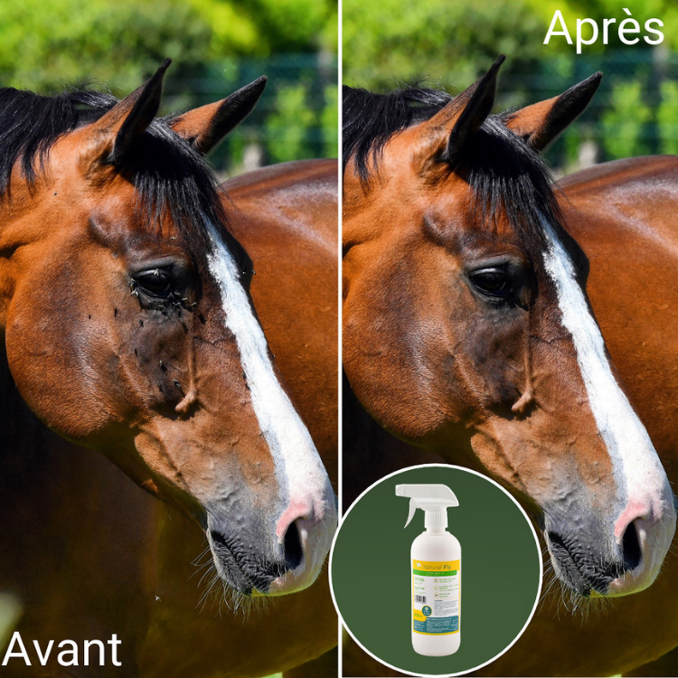 Spray Natural'Innov Natural'Fly Avant/après