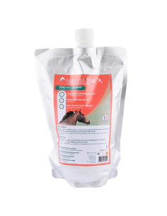 Natural'Innov Natural'Star Detangler 500ml 2