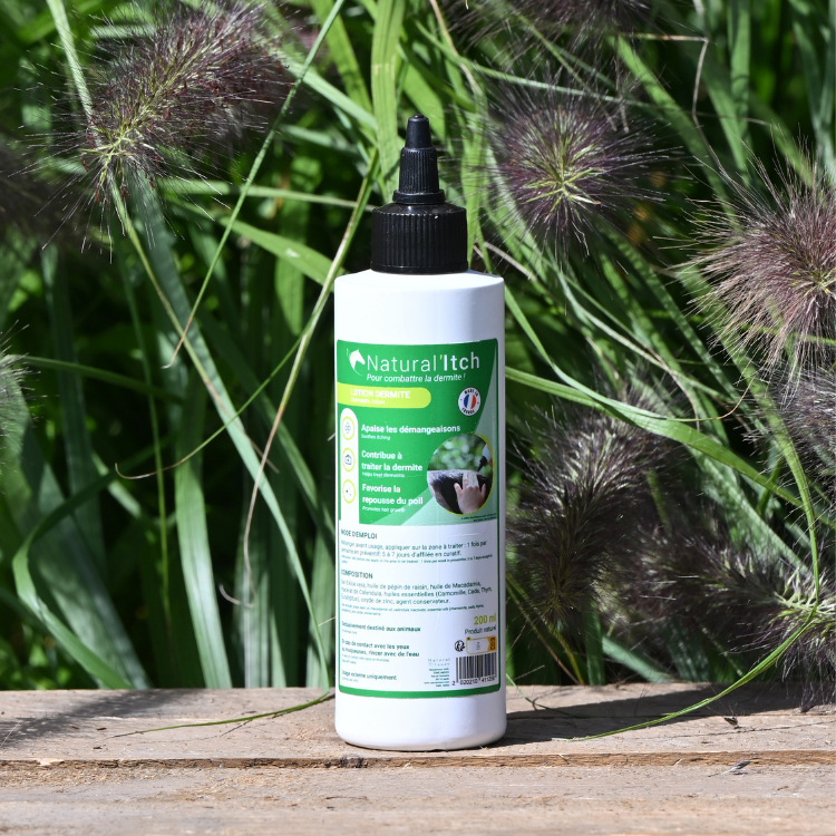 Lotion Anti-Démangeaisons Natural'Innov Natural'Itch 200ml