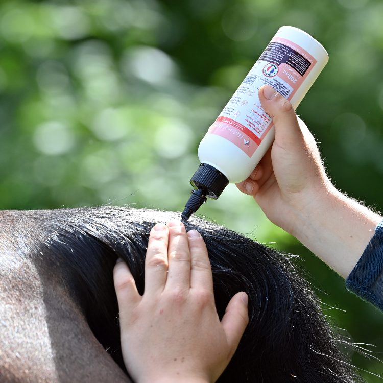 Lotion Anti-Démangeaisons Natural'Innov Natural'Itch 200ml