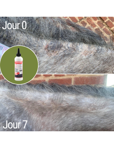 Lotion Anti-Démangeaisons Natural'Innov Natural'Itch 200ml Avant/après