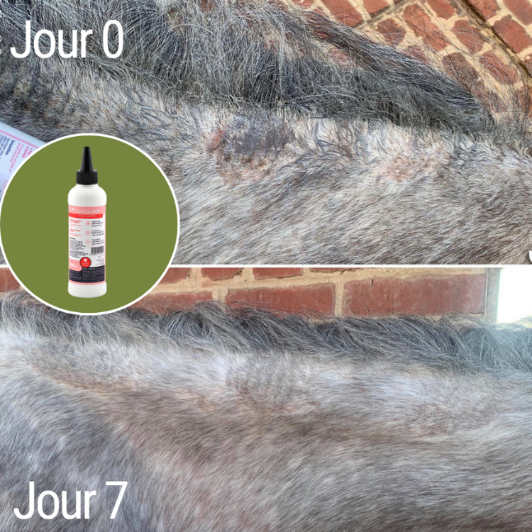 Lotion Anti-Démangeaisons Natural'Innov Natural'Itch 200ml Avant/après