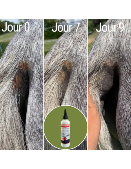 Lotion Anti-Démangeaisons Natural'Innov Natural'Itch 200ml Avant/après