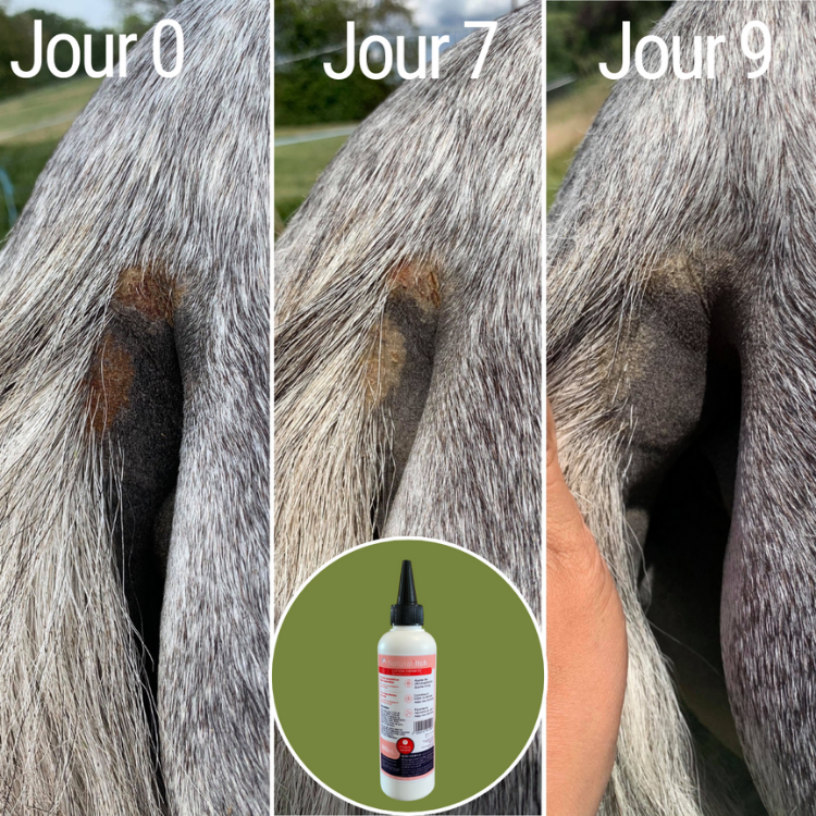 Lotion Anti-Démangeaisons Natural'Innov Natural'Itch 200ml Avant/après