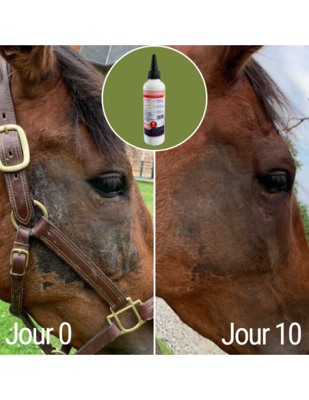 Lotion Anti-Démangeaisons Natural'Innov Natural'Itch 200ml Avant/après