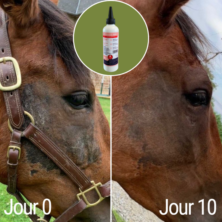 Lotion Anti-Démangeaisons Natural'Innov Natural'Itch 200ml Avant/après