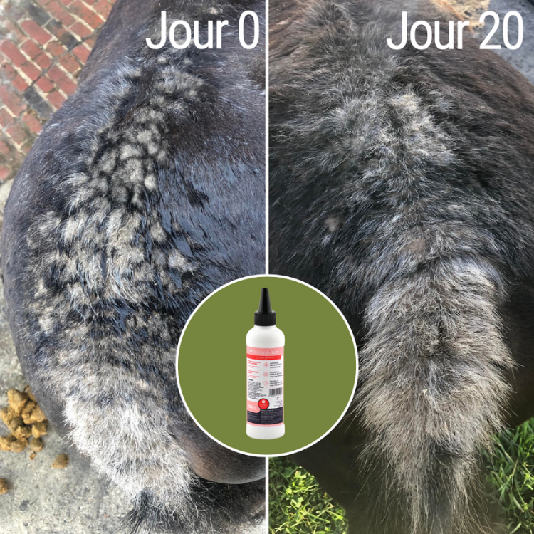 Lotion Anti-Démangeaisons Natural'Innov Natural'Itch 200ml Avant/après