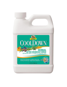 Lotion Absorbine Cool Down