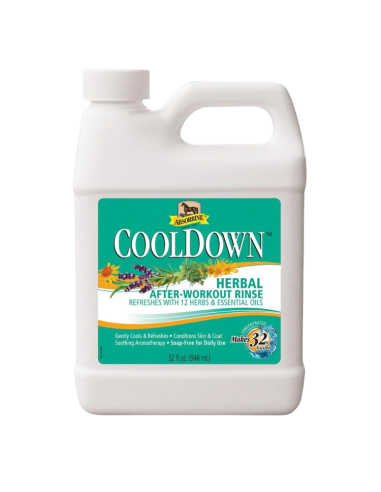 Cool Down Absorbine Lotion