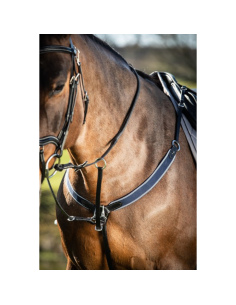Collier De Chasse HFI Elastique + Martingale 2