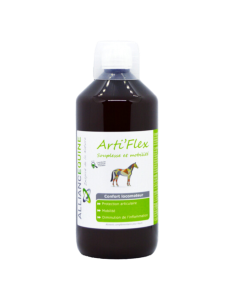Arti'Flex Alliance Equine