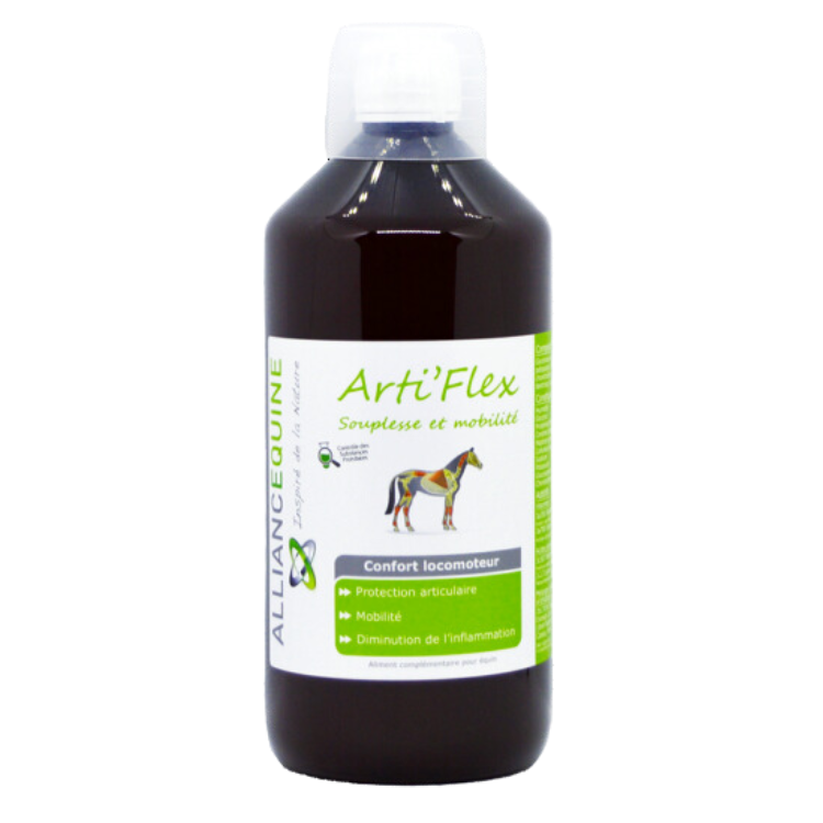 Arti'Flex Alliance Equine