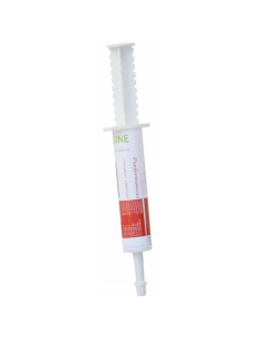 Performance Alliance Equine