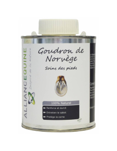 Norway Tar Equine Alliance