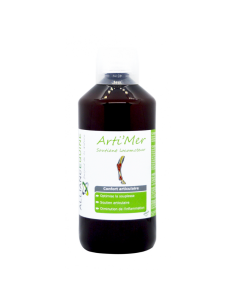 Arti'Mer Alliance Equine