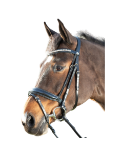 HFI Shiny Bridle Black