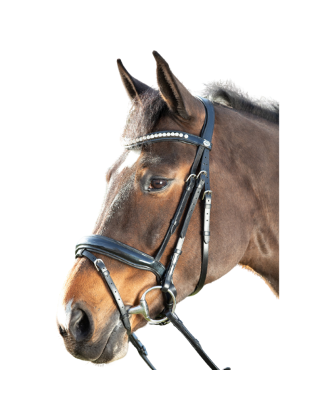 HFI Shiny Bridle Black