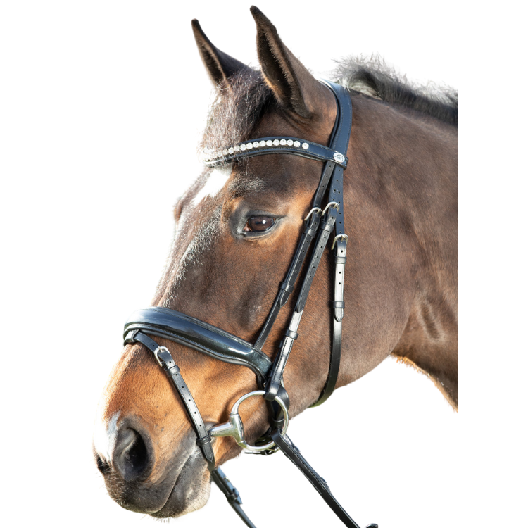 HFI Shiny Bridle Black