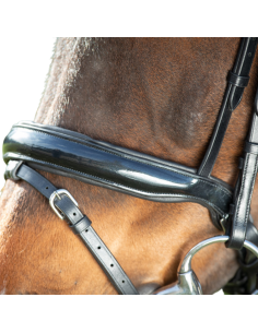 HFI Shiny Bridle Black 2