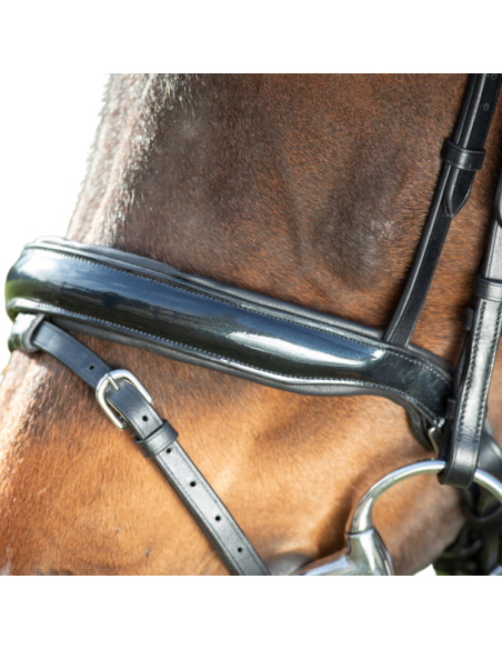 HFI Shiny Bridle Black