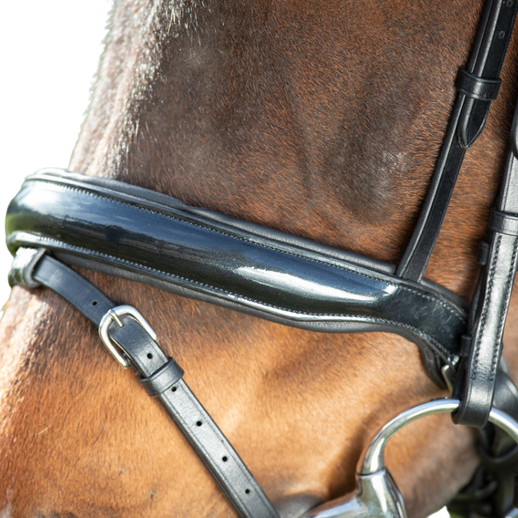 HFI Shiny Bridle Black